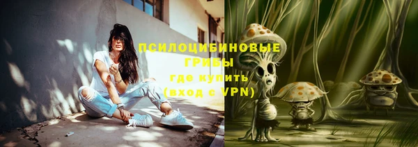 ПСИЛОЦИБИНОВЫЕ ГРИБЫ Белокуриха