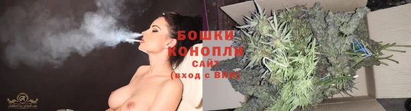 ПСИЛОЦИБИНОВЫЕ ГРИБЫ Белокуриха