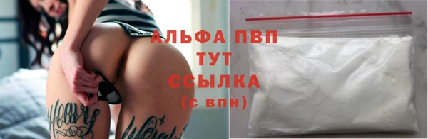 ПСИЛОЦИБИНОВЫЕ ГРИБЫ Белокуриха