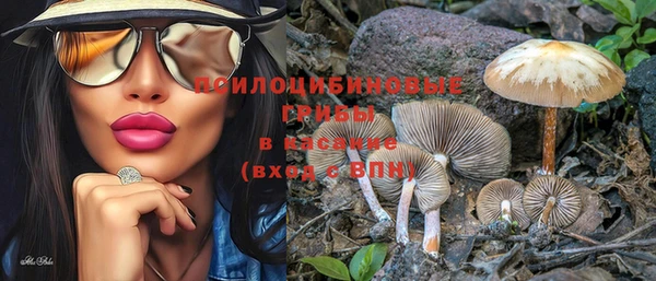 ПСИЛОЦИБИНОВЫЕ ГРИБЫ Белокуриха