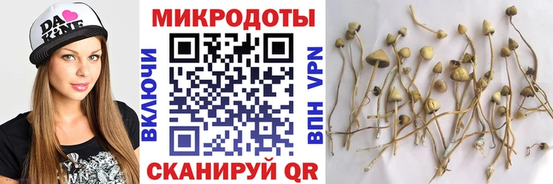 купить наркотик Щигры Псилоцибиновые грибы GOLDEN TEACHER